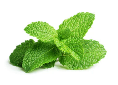 Menthol für ein frisches Kopfhautgefühl